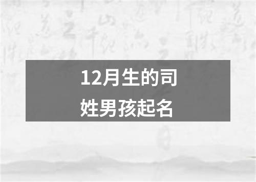 12月生的司姓男孩起名