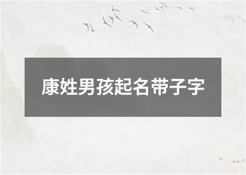 康姓男孩起名带子字