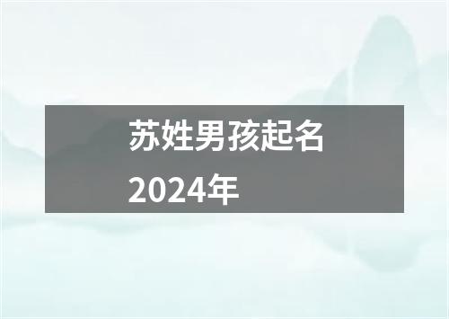 苏姓男孩起名2024年