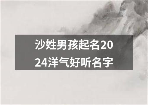 沙姓男孩起名2024洋气好听名字