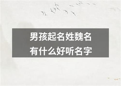 男孩起名姓魏名有什么好听名字