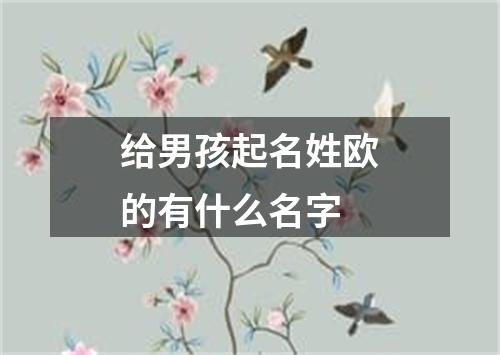 给男孩起名姓欧的有什么名字