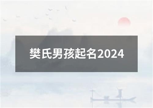 樊氏男孩起名2024