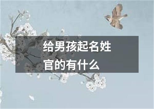 给男孩起名姓官的有什么