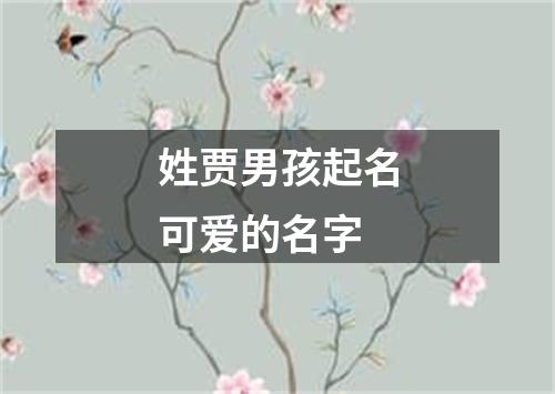 姓贾男孩起名可爱的名字