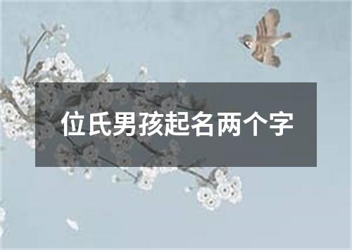 位氏男孩起名两个字