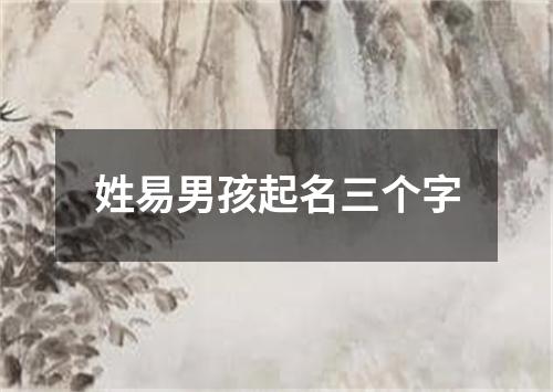 姓易男孩起名三个字