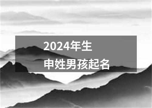 2024年生申姓男孩起名