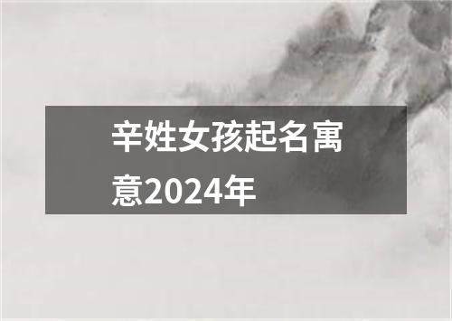 辛姓女孩起名寓意2024年