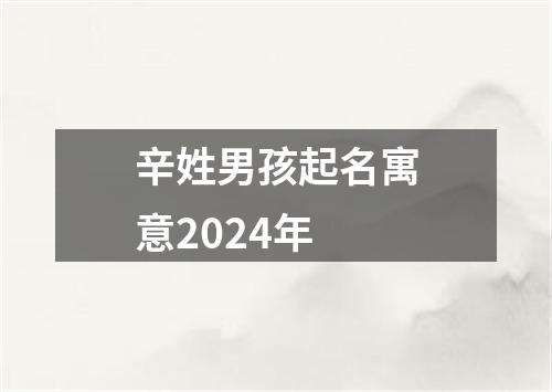 辛姓男孩起名寓意2024年