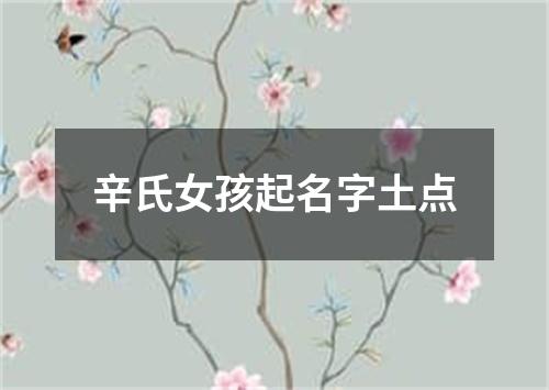 辛氏女孩起名字土点