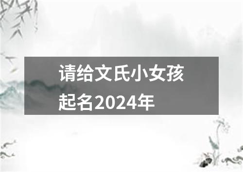 请给文氏小女孩起名2024年