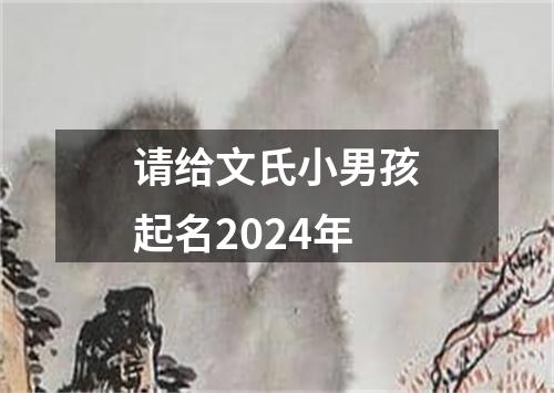 请给文氏小男孩起名2024年