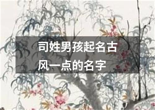 司姓男孩起名古风一点的名字