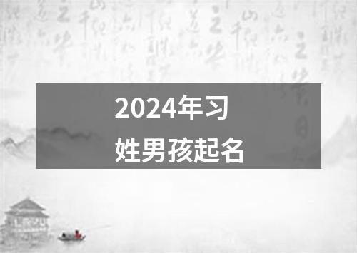 2024年习姓男孩起名