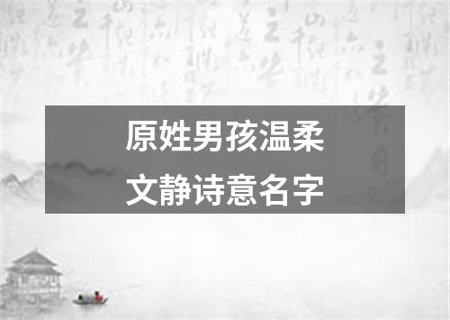 原姓男孩温柔文静诗意名字