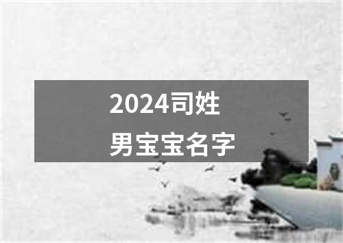 2024司姓男宝宝名字