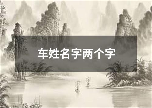 车姓名字两个字