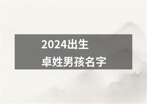 2024出生卓姓男孩名字