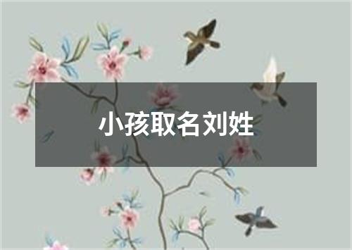 小孩取名刘姓