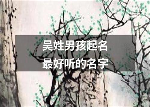 吴姓男孩起名最好听的名字