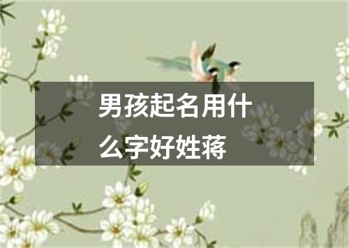 男孩起名用什么字好姓蒋