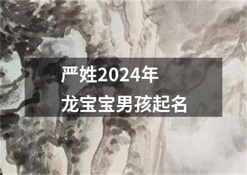 严姓2024年龙宝宝男孩起名