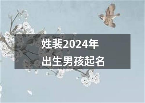 姓裴2024年出生男孩起名