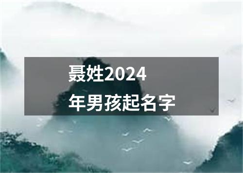 聂姓2024年男孩起名字