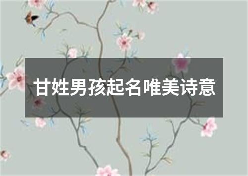 甘姓男孩起名唯美诗意