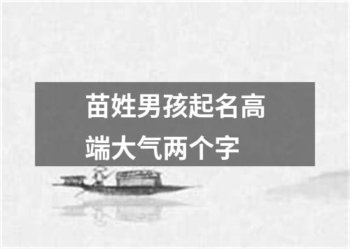 苗姓男孩起名高端大气两个字