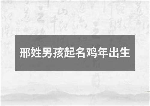 邢姓男孩起名鸡年出生