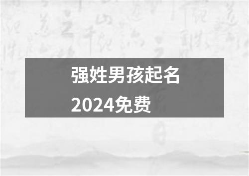 强姓男孩起名2024免费