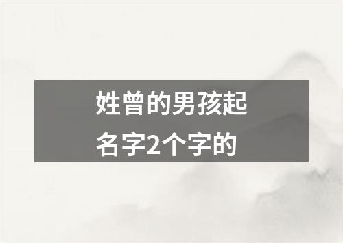 姓曾的男孩起名字2个字的