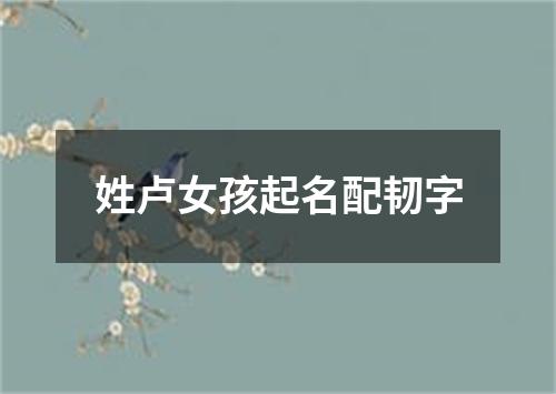 姓卢女孩起名配韧字