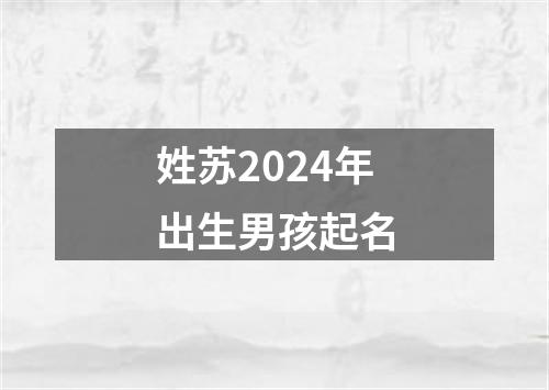 姓苏2024年出生男孩起名