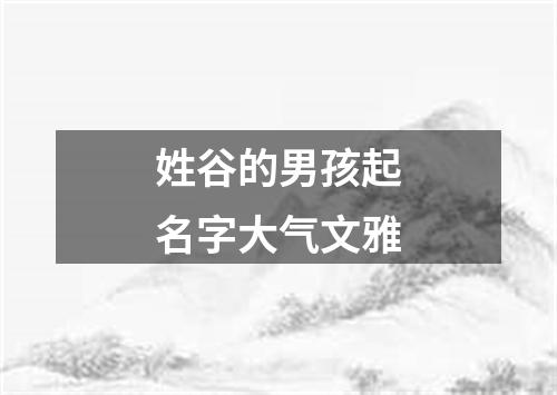 姓谷的男孩起名字大气文雅