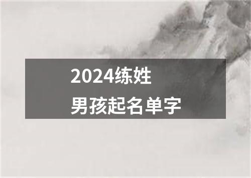 2024练姓男孩起名单字