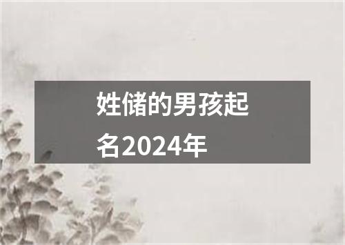 姓储的男孩起名2024年