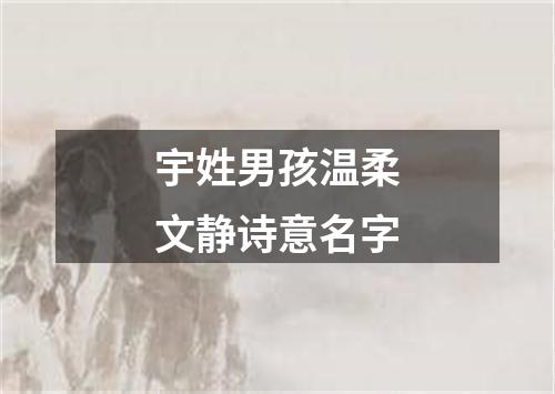 宇姓男孩温柔文静诗意名字