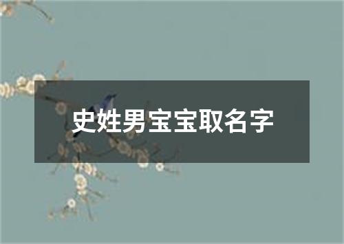 史姓男宝宝取名字