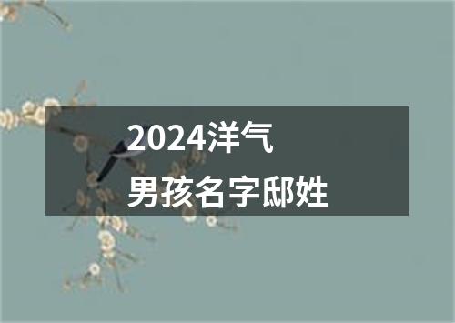 2024洋气男孩名字邸姓