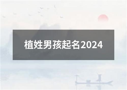 植姓男孩起名2024