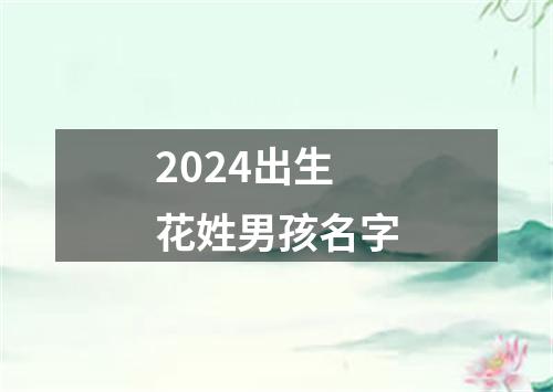 2024出生花姓男孩名字