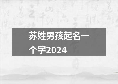 苏姓男孩起名一个字2024