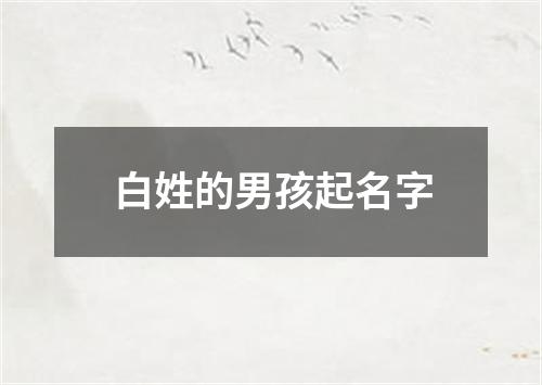 白姓的男孩起名字