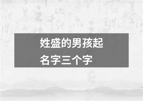 姓盛的男孩起名字三个字