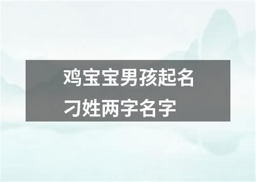 鸡宝宝男孩起名刁姓两字名字