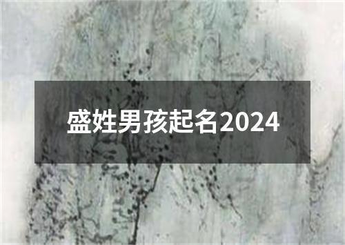 盛姓男孩起名2024