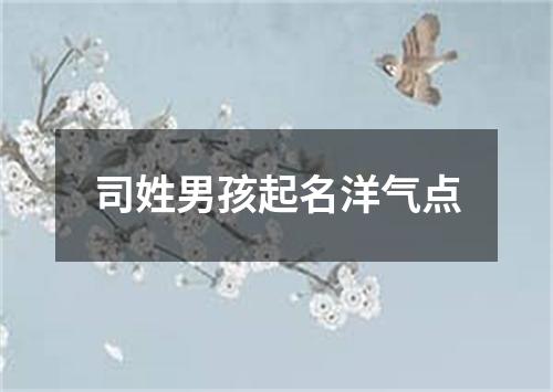 司姓男孩起名洋气点